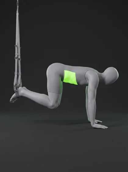 TRX Knee Tuck