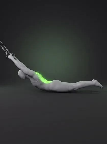 TRX Overhead Back Extension