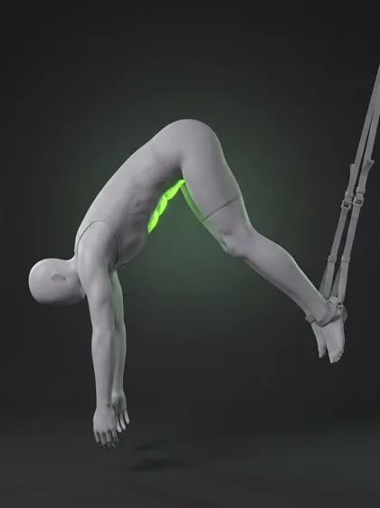 TRX Plank Pike Knee Tuck