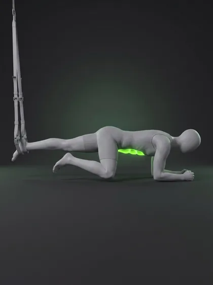 TRX Power Knee Tuck