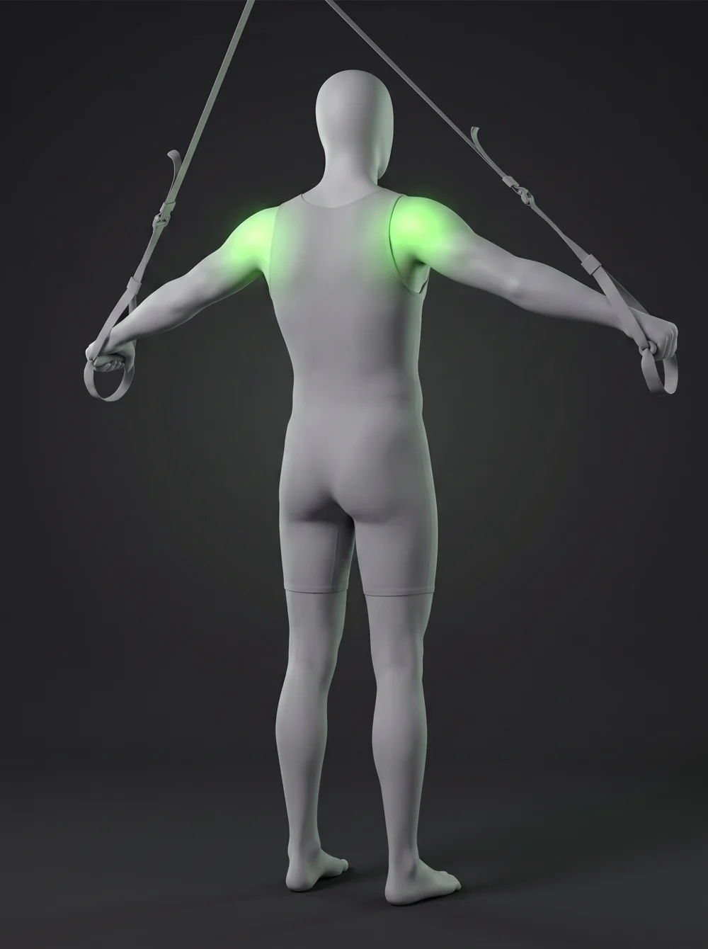 TRX Reverse Fly