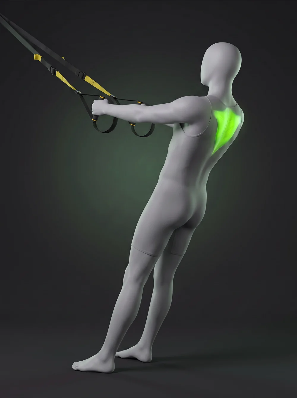 TRX Scapular Retraction