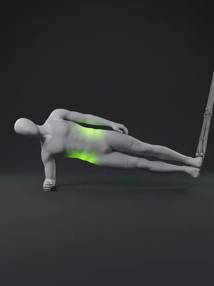TRX Side Plank Crunch