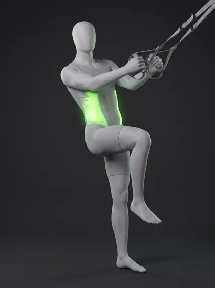 TRX Standing Oblique Crunch