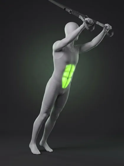 TRX Standing Rollout