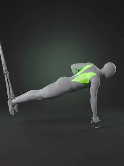 TRX Suspended Plank Row