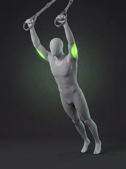 TRX Triceps Extension with Hip Raise
