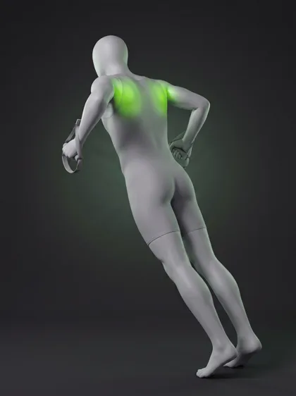 TRX W-Fly