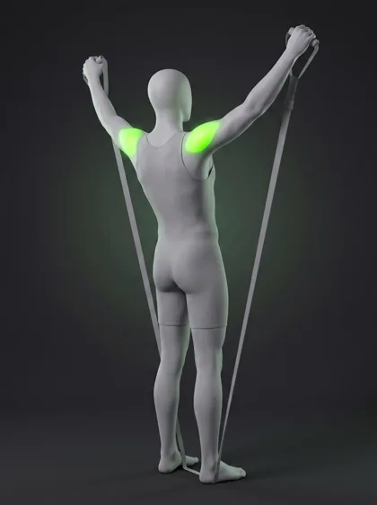 TRX W-Raise