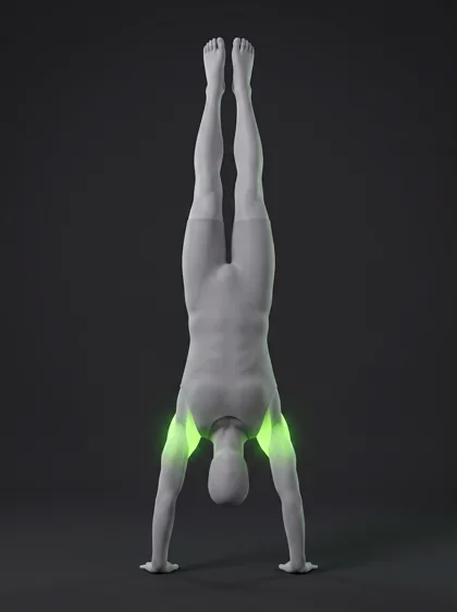 Tuck Front Lever