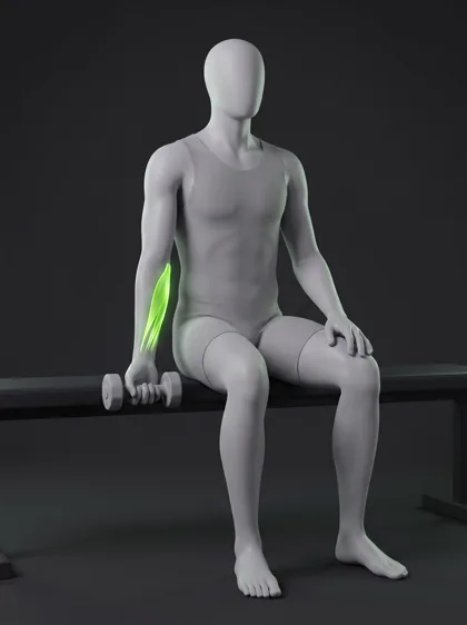 Dumbbell Ulnar Deviation