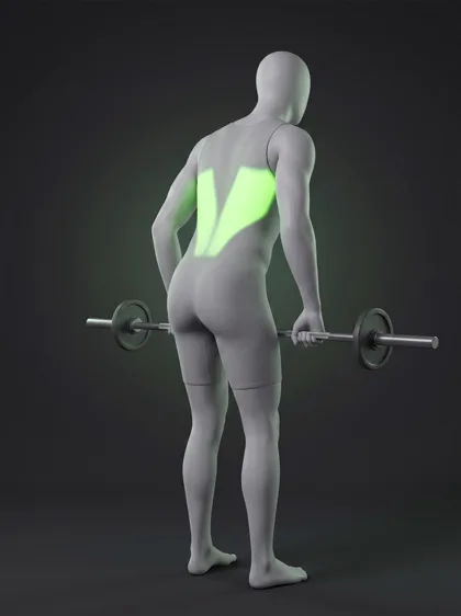 Reverse-Grip Barbell Row