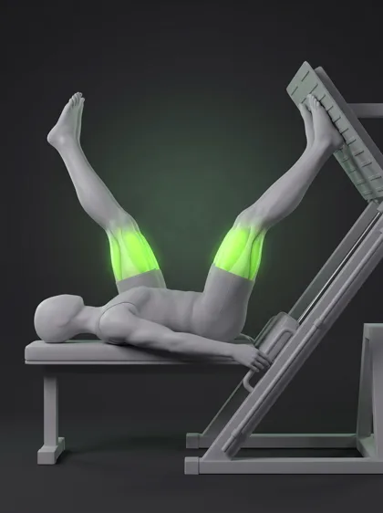 Vertical Leg Press Machine