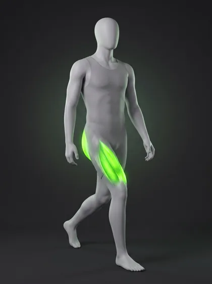 Walking Lunge