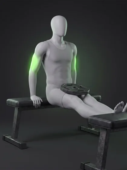 Weighted Bench Dip