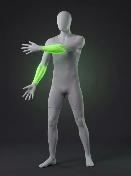 Carpal Tunnel Nerve Glide Stretch