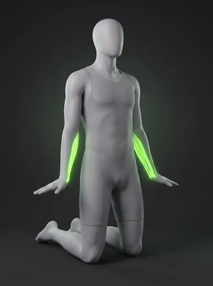Wrist Flexor Stretch