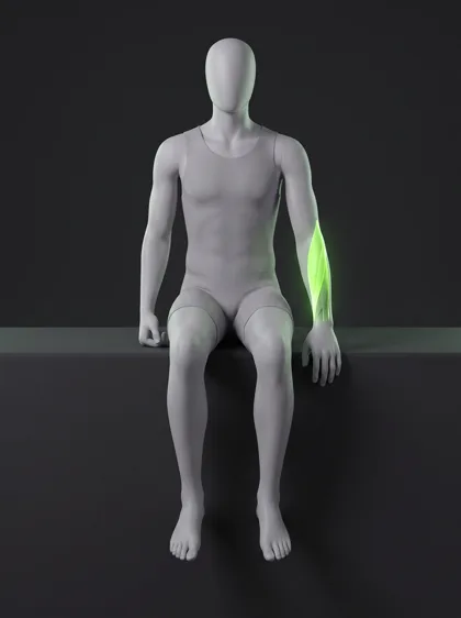 Wrist Flexion and Extension