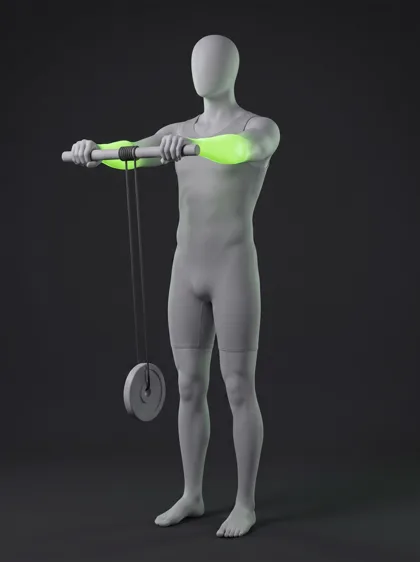 Wrist Roller