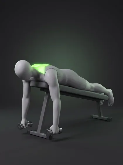 Prone Dumbbell Y-Raise